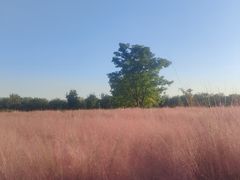 -汉长安城未央宫国家考古遗址公园