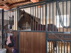 -北京群众马术培训基地