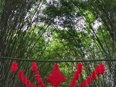 -望江楼公园