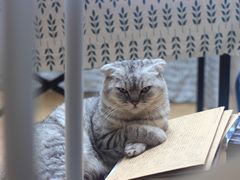 -拾壹cafe·工作室