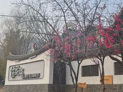 -慢丽江·云南野生菌土鸡锅(西山店)