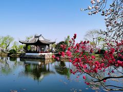 -无锡蠡湖国家湿地公园-蠡园