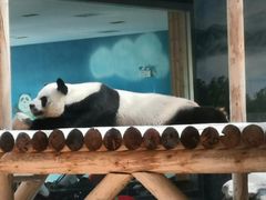 -西安秦岭野生动物园