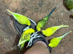 -正佳雨林生态植物园