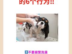 -爱侣·安琦尔宠物医院·中兽医针灸·心内科·狂犬免疫点(宝山区院)