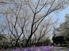 -白塘生态植物园