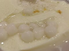 熊猫冰粉-眉州东坡(团结湖店)
