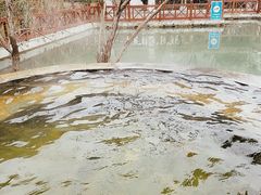 -深业半汤御泉庄温泉
