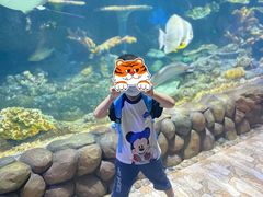 -华夏文旅海洋公园