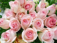 -森野花艺培训·企业团建活动沙龙