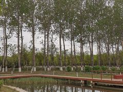-东郊湿地公园