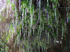 -乌山风景区