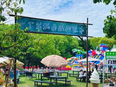 -同里国家湿地公园
