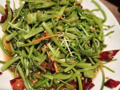 -菌自由丨野生菌火锅特色庭院餐厅(丽江古城店)