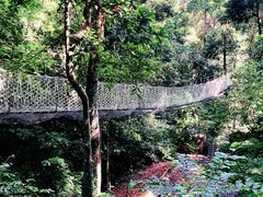 -西双版纳基诺山寨