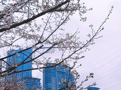 -西北湖绿化广场