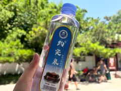 -趵突泉景区