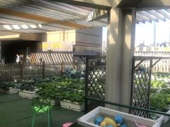 -巴黎春天(浦建店)