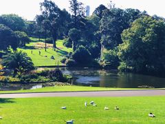 -墨尔本皇家植物园