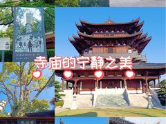 -江心屿景区