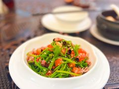 凉拌水性杨花-熙楼(翠湖店)