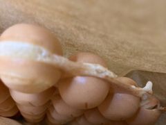 -香港鸳鸯王(西湖路店)