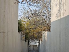-石家庄市植物园