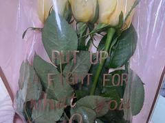 -循礼门鲜花花市(武汉循礼门店)