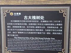 -大槐树寻根祭祖园