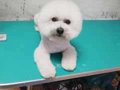 -小叮当动物医院·骨科·眼科