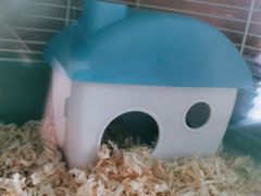 -龙猫仔乐园(惠福东路店)