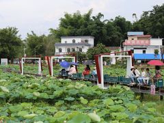 -红山村