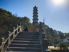 -江心屿景区