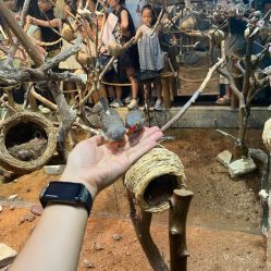 -Zoolung Zoolung动物主题公园(海信广场店)