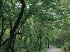 -虞山风景区