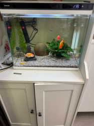 -芮悦·璀璨无创洗眉·专业洗眼线·专业洗唇