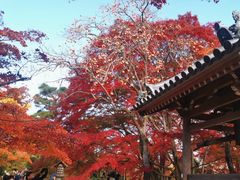 -常寂光寺