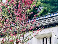 -乌山风景区