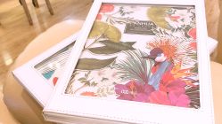 -LADYGIRL·Nail·Lash·美甲美睫