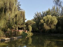 -西安市长乐公园