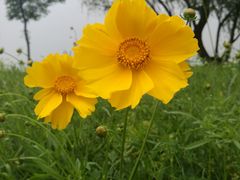 -幕燕滨江·长江观音景区