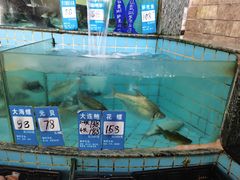 -黄埔华苑酒家(黄埔店)