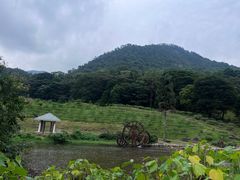 -广州市石门国家森林公园