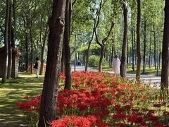 -西安浐灞国家湿地公园