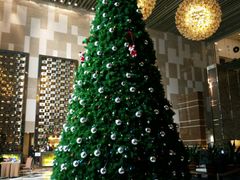 -天津君隆威斯汀酒店