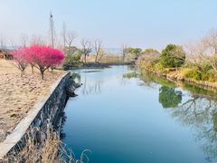 -良渚文化村