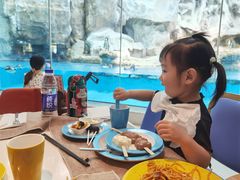 -帝企鹅自助餐厅•儿童岛•真企鹅(长隆企鹅酒店)