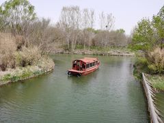 -溱湖国家湿地公园