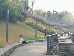 -府河摄影公园