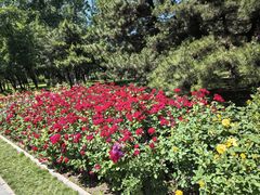 -元大都城垣遗址公园